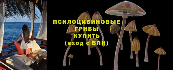дмт Алзамай
