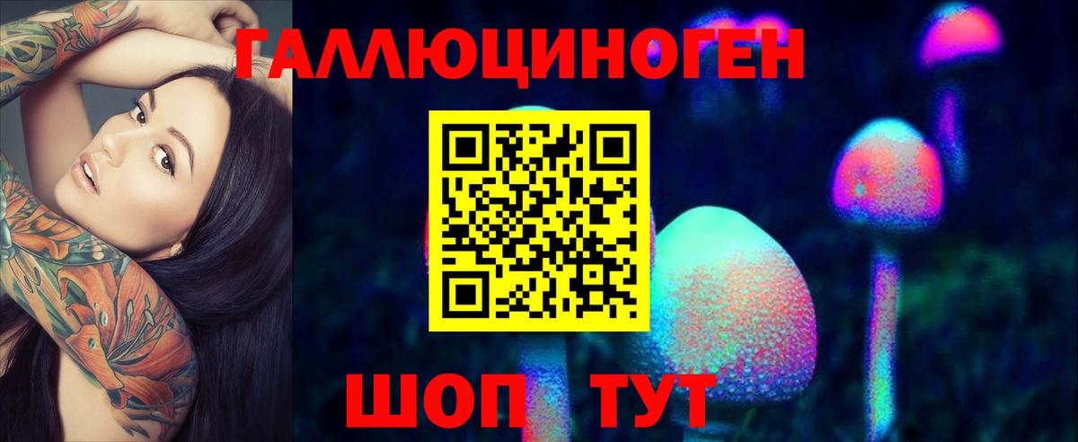Псилоцибиновые грибы Cubensis  Вход с VPN  Борзя 
